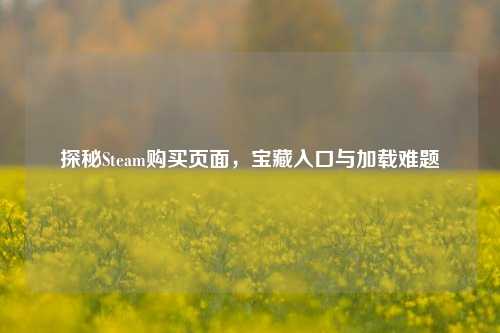 探秘Steam购买页面，宝藏入口与加载难题