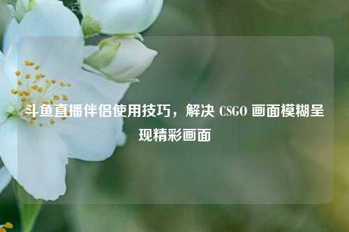 斗鱼直播伴侣使用技巧,解决 CSGO 画面模糊呈现精彩画面