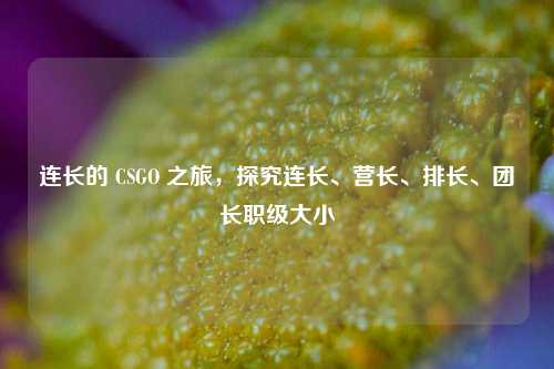连长的 CSGO 之旅,探究连长、营长、排长、团长职级大小