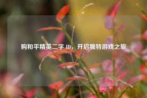 购和平精英二字 ID,开启独特游戏之旅