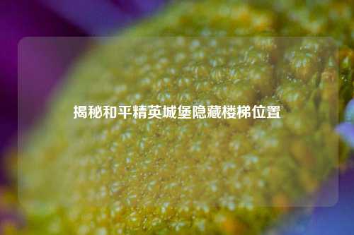 揭秘和平精英城堡隐藏楼梯位置