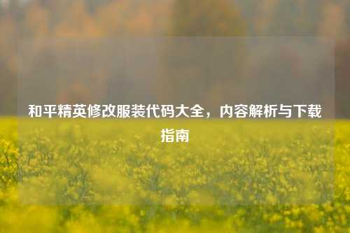 和平精英修改服装代码大全，内容解析与下载指南