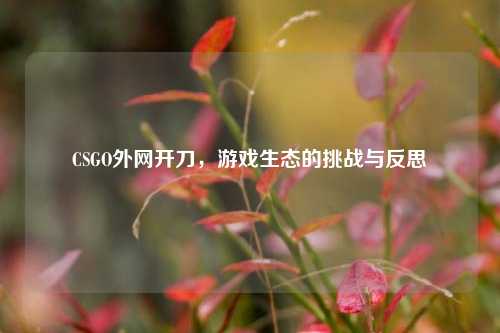 CSGO外网开刀,游戏生态的挑战与反思