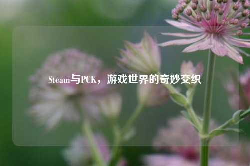 Steam与PCK,游戏世界的奇妙交织