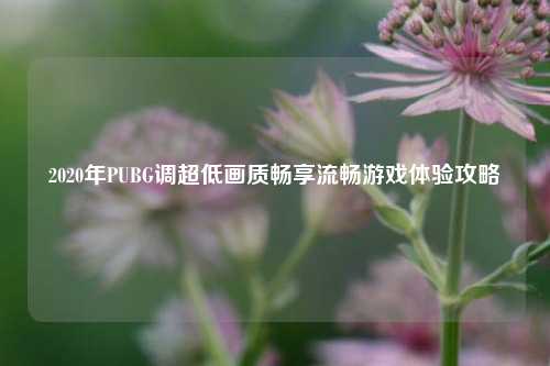 2020年PUBG调超低画质畅享流畅游戏体验攻略