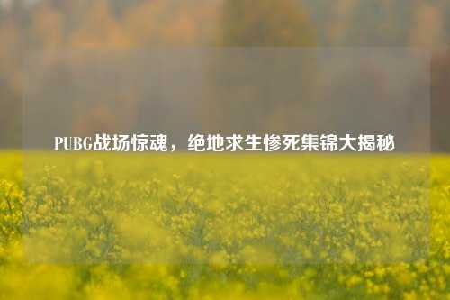 PUBG战场惊魂,绝地求生惨死集锦大揭秘