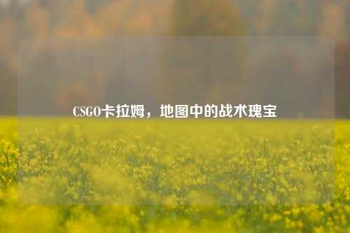 CSGO卡拉姆,地图中的战术瑰宝