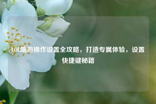 LOL端游操作设置全攻略,打造专属体验,设置快捷键秘籍