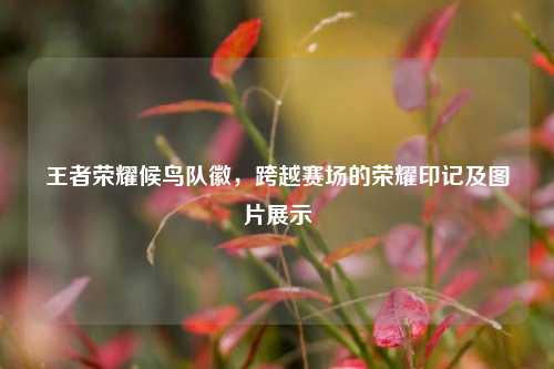 王者荣耀候鸟队徽,跨越赛场的荣耀印记及图片展示