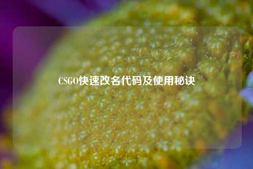 CSGO快速改名代码及使用秘诀