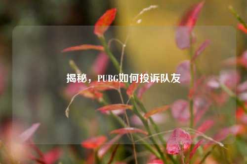 揭秘，PUBG如何投诉队友