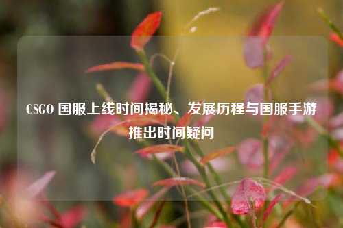 CSGO 国服上线时间揭秘、发展历程与国服手游推出时间疑问