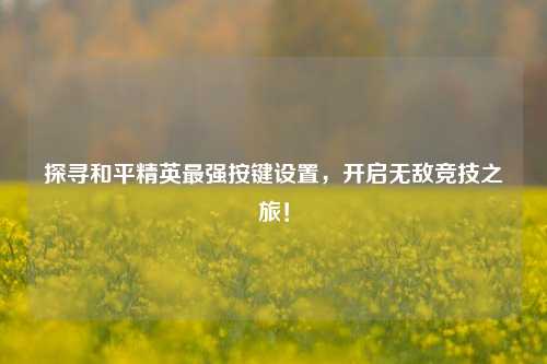 探寻和平精英最强按键设置,开启无敌竞技之旅!