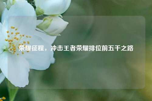 荣耀征程,冲击王者荣耀排位前五千之路