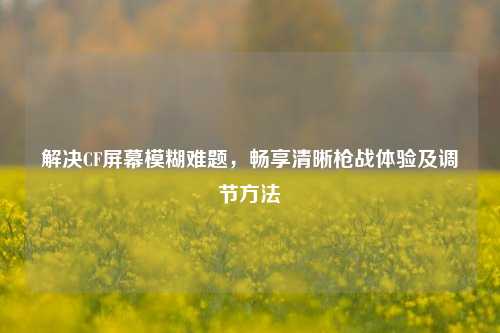 解决CF屏幕模糊难题,畅享清晰枪战体验及调节方法