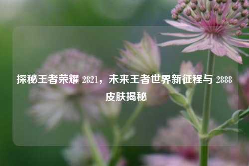 探秘王者荣耀 2821,未来王者世界新征程与 2888 皮肤揭秘