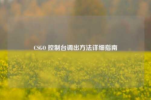 CSGO 控制台调出方法详细指南