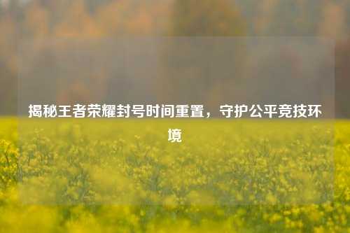 揭秘王者荣耀封号时间重置,守护公平竞技环境