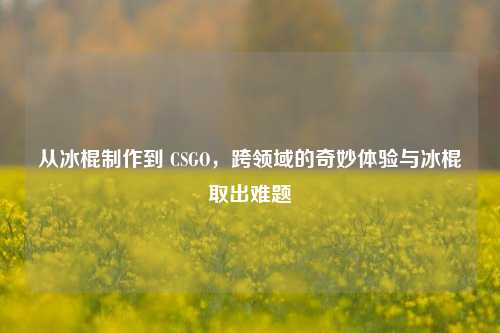 从冰棍制作到 CSGO,跨领域的奇妙体验与冰棍取出难题