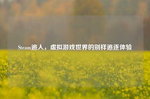 Steam追人,虚拟游戏世界的别样追逐体验