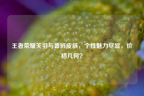 王者荣耀关羽与鲁班皮肤,个性魅力尽显,价格几何?