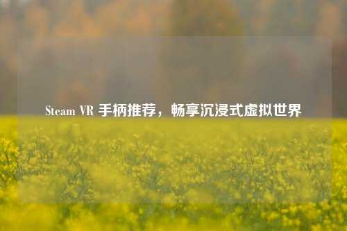 Steam VR 手柄推荐,畅享沉浸式虚拟世界