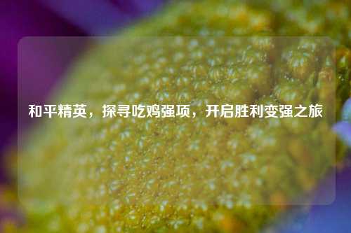 和平精英,探寻吃鸡强项,开启胜利变强之旅