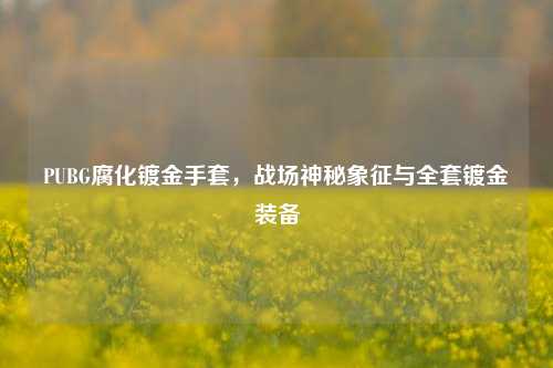 PUBG腐化镀金手套,战场神秘象征与全套镀金装备
