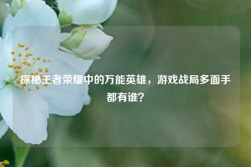 探秘王者荣耀中的万能英雄,游戏战局多面手都有谁?