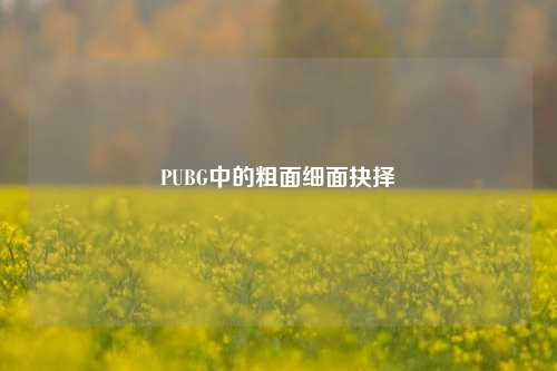 PUBG中的粗面细面抉择