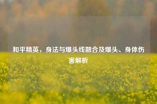 和平精英，身法与爆头线融合及爆头、身体伤害解析