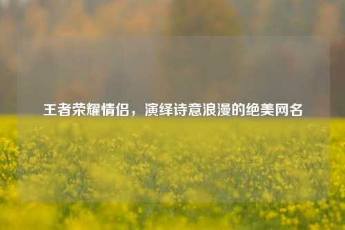 王者荣耀情侣,演绎诗意浪漫的绝美网名
