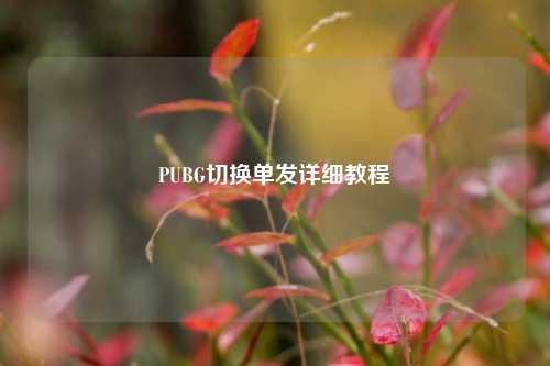 PUBG切换单发详细教程
