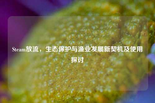 Steam放流,生态保护与渔业发展新契机及使用探讨