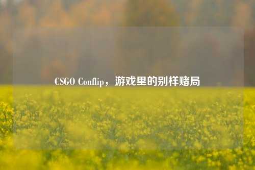 CSGO Conflip,游戏里的别样赌局