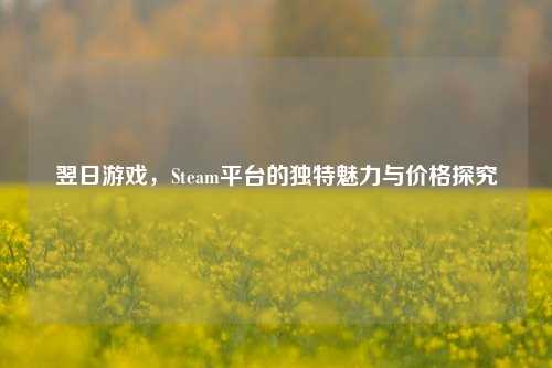 翌日游戏,Steam平台的独特魅力与价格探究