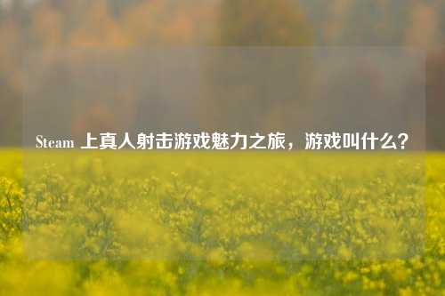 Steam 上真人射击游戏魅力之旅,游戏叫什么?