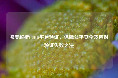 深度解析PUBG平台验证，保障公平安全及应对验证失败之法