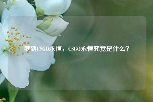 梦到CSGO永恒,CSGO永恒究竟是什么?