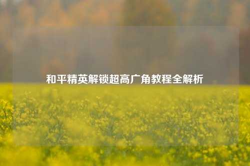和平精英解锁超高广角教程全解析
