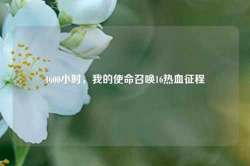 4600小时,我的使命召唤16热血征程
