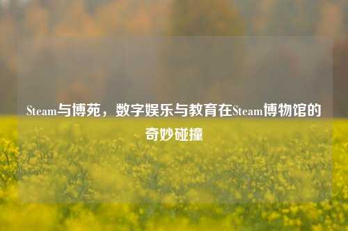 Steam与博苑,数字娱乐与教育在Steam博物馆的奇妙碰撞