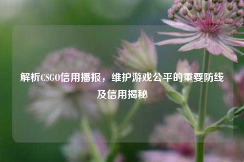 解析CSGO信用播报,维护游戏公平的重要防线及信用揭秘