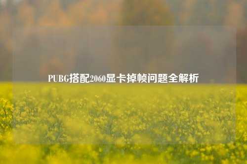 PUBG搭配2060显卡掉帧问题全解析