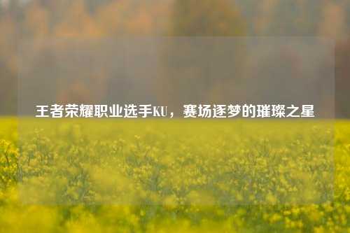 王者荣耀职业选手KU,赛场逐梦的璀璨之星