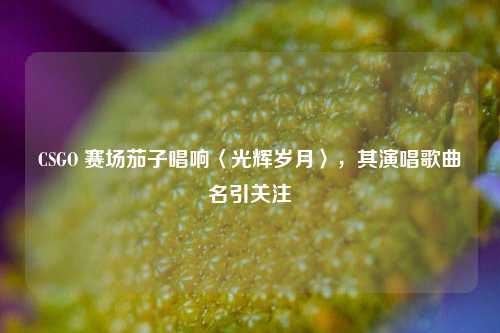 CSGO 赛场茄子唱响〈光辉岁月〉,其演唱歌曲名引关注
