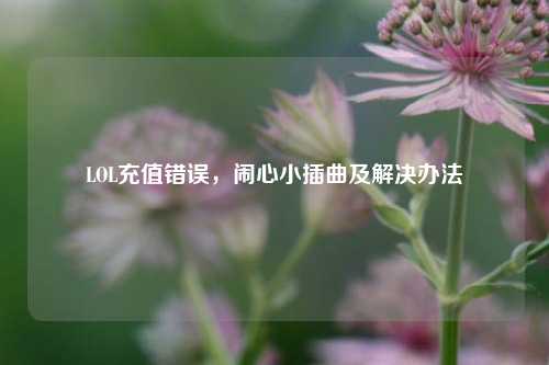 LOL充值错误,闹心小插曲及解决办法