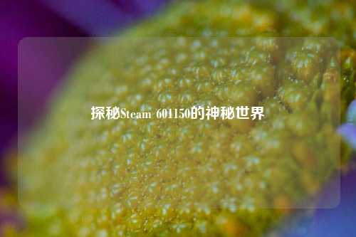 探秘Steam 601150的神秘世界