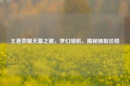 王者荣耀天幕之鲲,梦幻领航,揭秘抽取价格