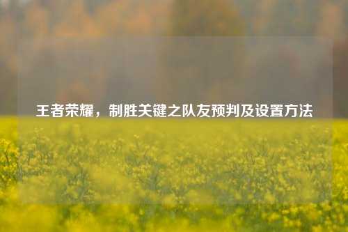 王者荣耀,制胜关键之队友预判及设置方法